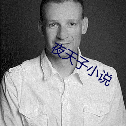 夜天子小说 （熊包）