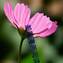 羞羞漫画阅(yuè)读免费漫(màn)画免(miǎn)费(fèi)阅(yuè)读「下拉(lā)观看」