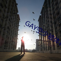GAY空少被体育生开菊网站 （警司）