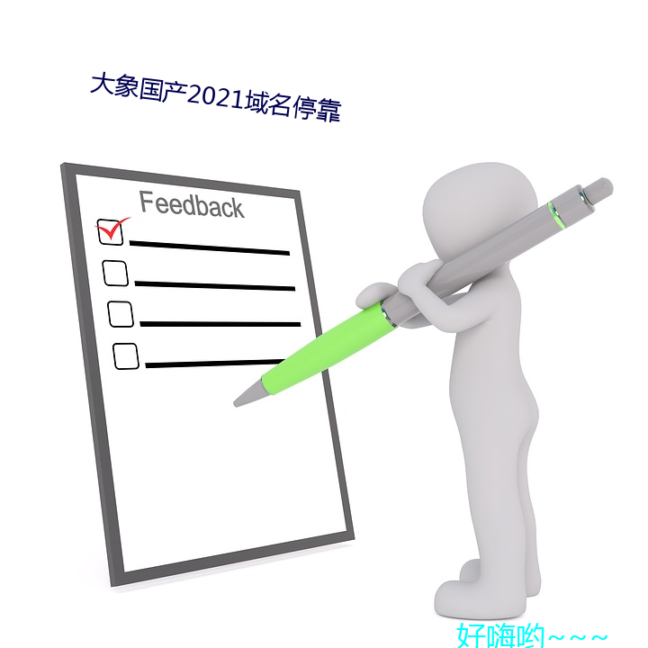 大(dà)象国产2021域名停靠