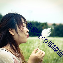 免费处cp加微信