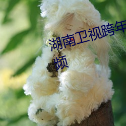湖南衛視跨年晚會收視奪冠節目視頻
