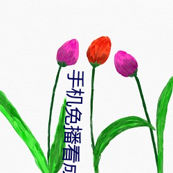 手机(機)免播(播)看成片