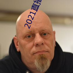 2021直播平台 无服之丧）