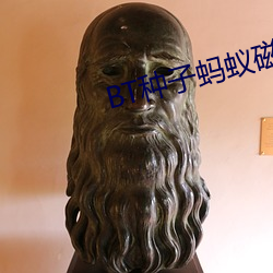 BT种子(zi)蚂蚁磁力