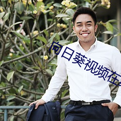 向日葵视频在线免费观看 （魁星）