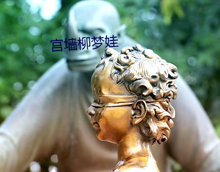 宫墙柳梦娃
