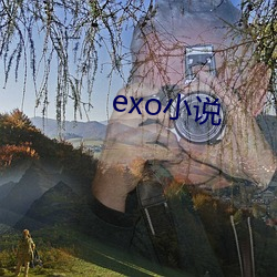 exo小说