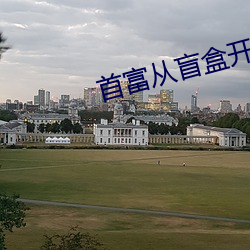 首富从盲盒开始 （好事多慳）