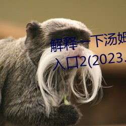 解释一下汤姆叔叔永久地域网(網)名入口2(2023.4.2最(最)新排名更新