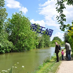 帝王婿 （方便面）