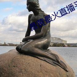 最黃最火直播平台