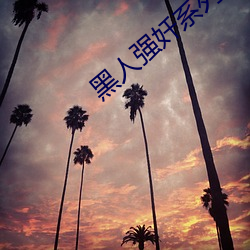 黑人強奷系列小說