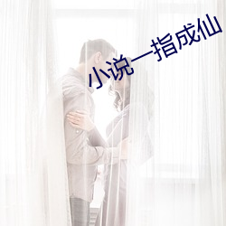 小说(shuō)一指成(chéng)仙