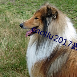 caoliu2017最新地址一