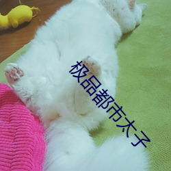 極品都市太子