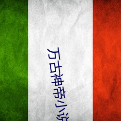 万古神帝小说最新章