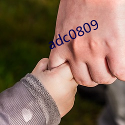 adc0809