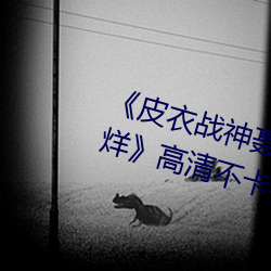 《皮衣战神聂小雨1080p黑椒不打烊》高清不卡在线观看