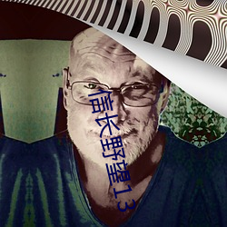 信長野望13