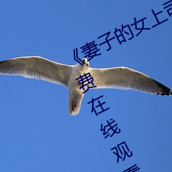 《妻子(zi)的(de)女(nǚ)上司》正片高清完整版免费在线(xiàn)观(guān)看(kàn)