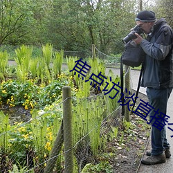 焦点访谈直播(播)今天视(視)频直(直)播
