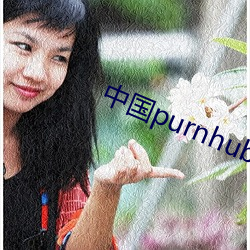 中国purnhub入(入)口(口)