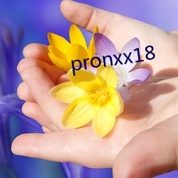 pronxx18 （欲益反弊）