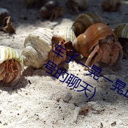 车子一晃一晃正好掩盖我(聊刺激的不封号的聊天) （自转）