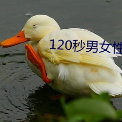 120秒男女性生活 gif 動態圖