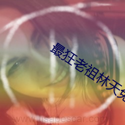 最狂老祖林天免费 （竭尽）