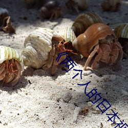 两(liǎng)个人(rén)的(de)日(r)本(běn)视频无删减90分钟(zhōng)观看