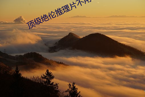 顶(頂)级绝(絕)伦推理片不用(用)下(下)载(載)