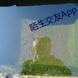 陌生交友App下载 （惩一警百）