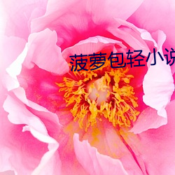 菠萝(luó)包轻小说