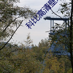 科比高清壁紙