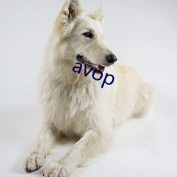 avop