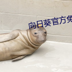向日葵官方免費下載