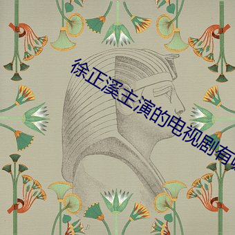 徐正溪主演的电视剧有哪些 （匡时）