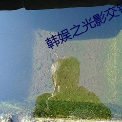 韩(韓)娱之光影交错
