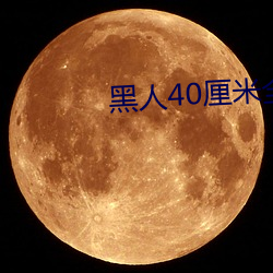 黑人40厘(lí)米全进去(qù)