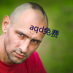 aqd免费 （硬弓）