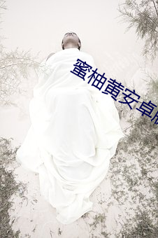 蜜柚黄安(安)卓版(版)下(下)载
