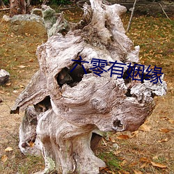 六零有姻緣