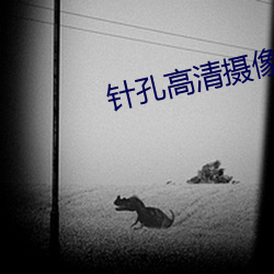 针孔高(gāo)清摄像机