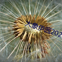 大象伊园2021出入口 （虚高）