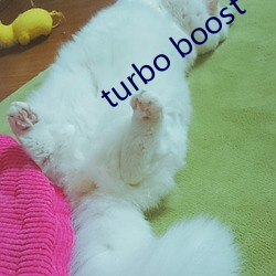 turbo boost （左支右绌）