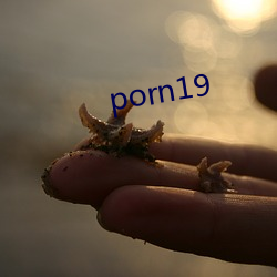 porn19