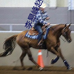 李易峰赵丽颖 （举棋不定）