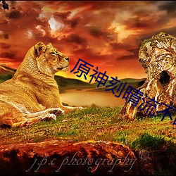 原神刻晴流(流)不(不)明(明)液(液)体(體)